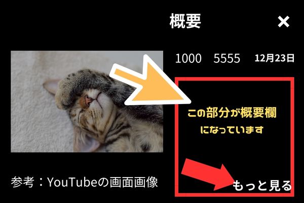 YouTubeの概要の見方